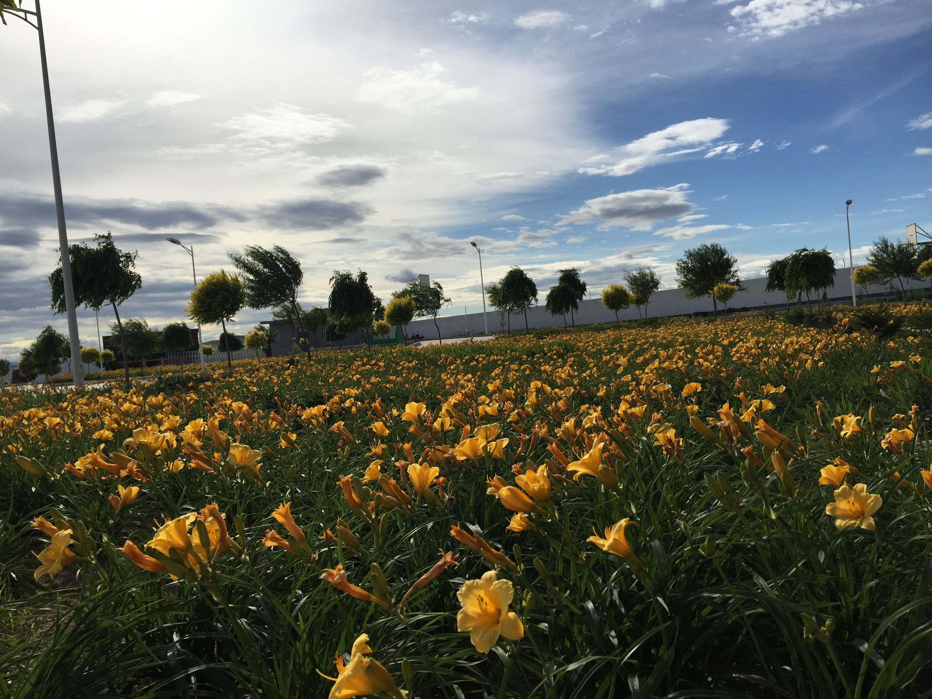 3522集团的新网站(й)ٷվ