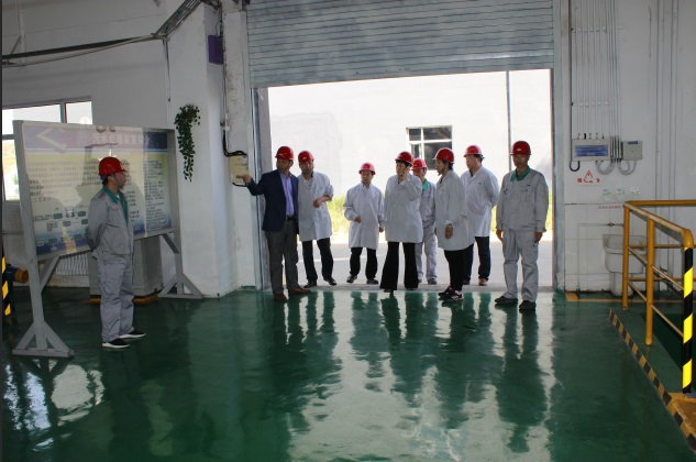 3522集团的新网站(й)ٷվ